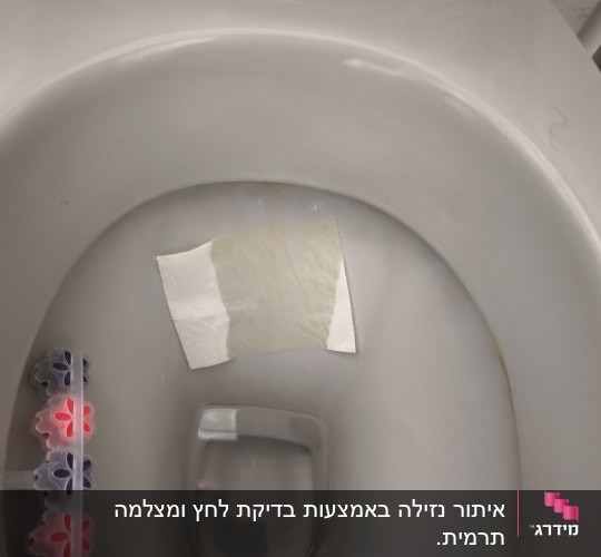 אסלה